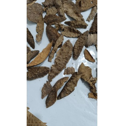 AGARWOOD CHIPS GAAF SPECIAL