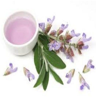 CELERY SAGE OIL