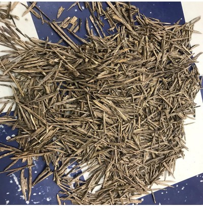 Agarwood Salla