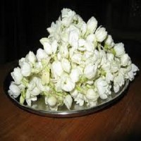 JASMINE WATER
