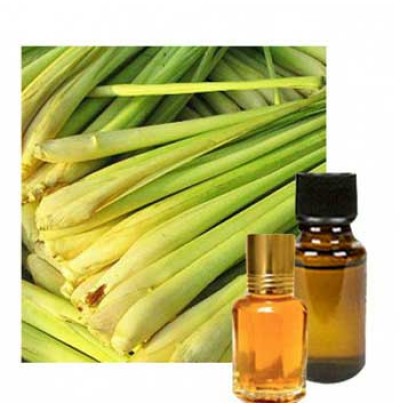 Moulsree Attar