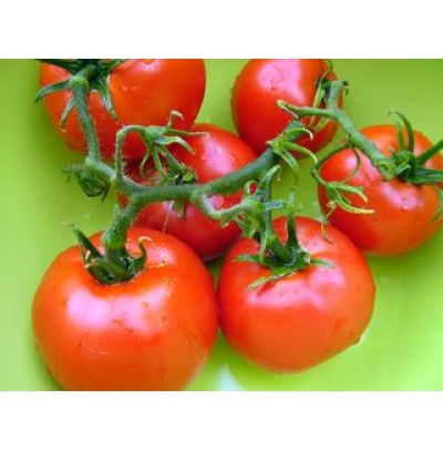 Tomato Seed Oil