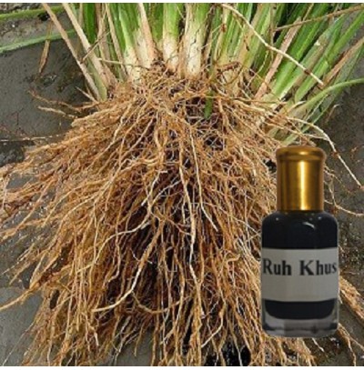 Vativer Absolute Oil 