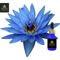 BLUE LOTUS ABSOLUTE