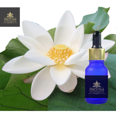  White Lotus Absolute