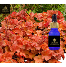 Amber Oil