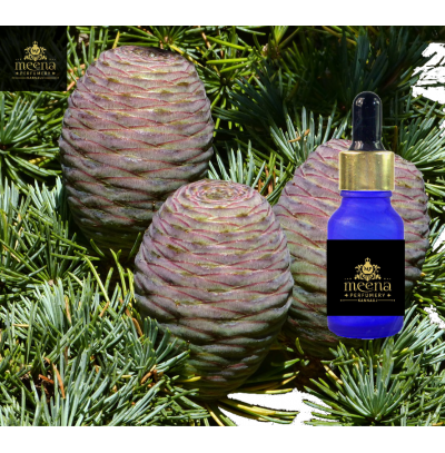 Atlas Cedar