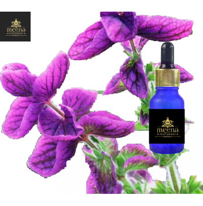 Clary Sage Oil