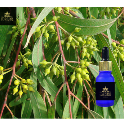 Eucalyptus Oil