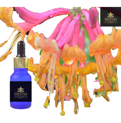 Honeysuckle Oil