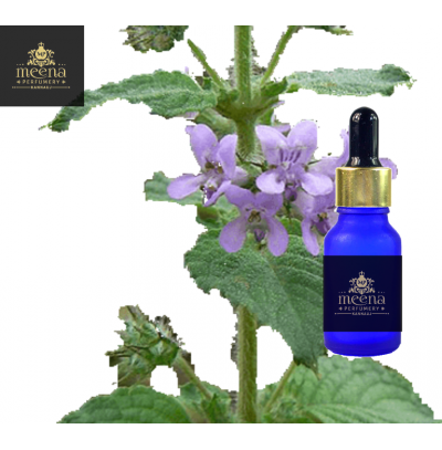 Spikenard Oil
