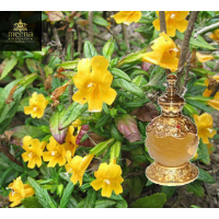Black Musk Attar