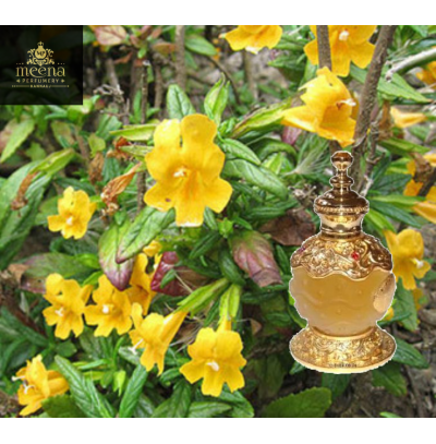 Black Musk Attar