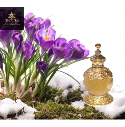 Jannatul Firdaus Attar