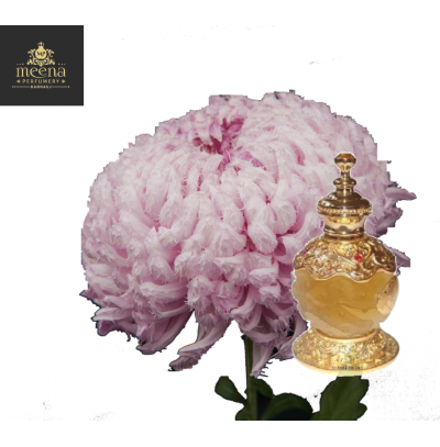 Kiku Attar