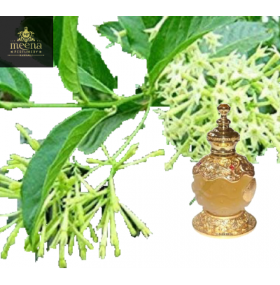 Night Queen Attar