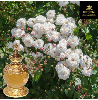 ROSE ATTAR GRADE C