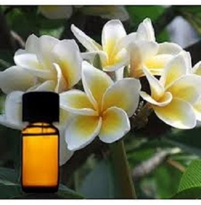 TUBEROSE OIL