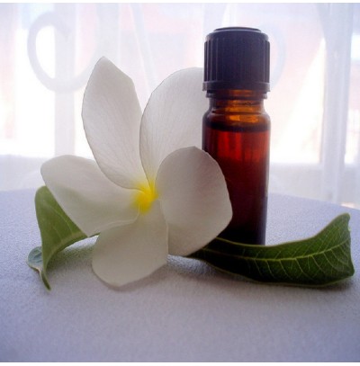 FRANGIPANI ABSOLUTE